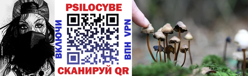 Псилоцибиновые грибы Magic Shrooms  Купить закладки  Ишим 